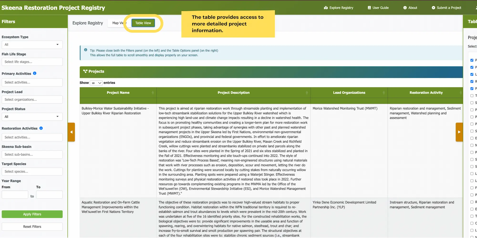 Screenshot of Table View